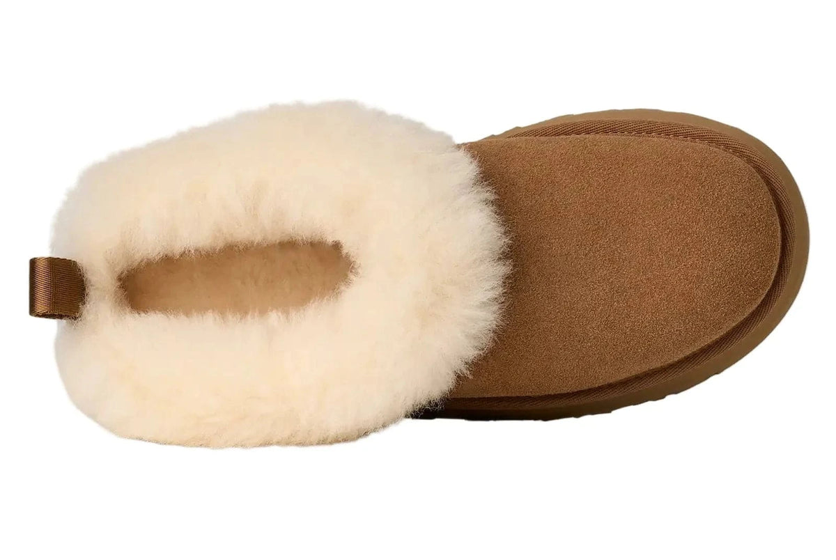 UGG Womens Tazzelle Slipper Shoes | Banlieue91